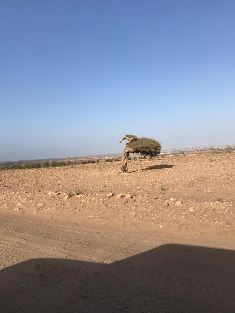 Riad Targante Takate 1 Sidi Bibi Buitenkant foto